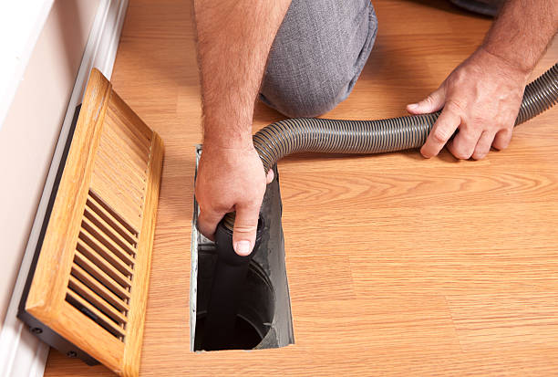 Best Mold and Mildew Removal from Ducts in Irwin, SC